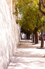 Enlarge photo 88