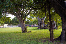 Enlarge photo 10