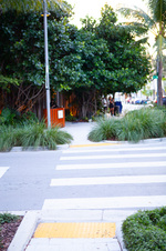 Enlarge photo 51