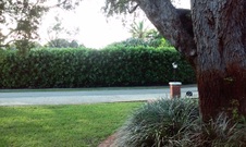 Enlarge photo 148