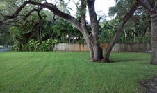 Enlarge photo 150