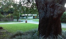 Enlarge photo 152
