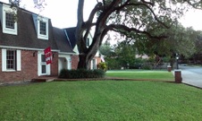 Enlarge photo 154