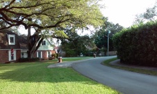 Enlarge photo 156