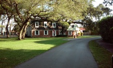 Enlarge photo 157