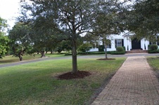 Enlarge photo 121