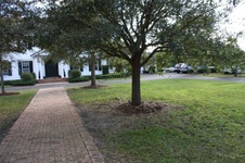 Enlarge photo 122