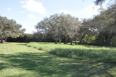 Enlarge photo 115