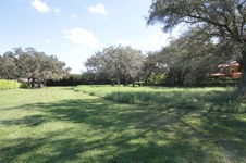 Enlarge photo 116