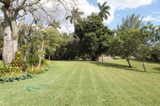 Enlarge photo 82