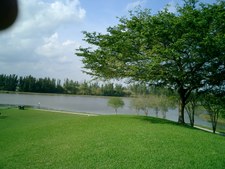 Enlarge photo 58