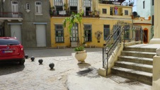 Enlarge photo 11