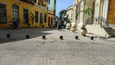 Enlarge photo 42