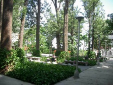 Enlarge photo 1126