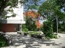 Enlarge photo 1131