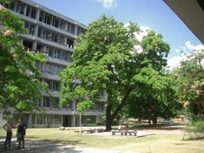 Enlarge photo 1147