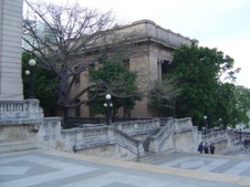 Enlarge photo 4359