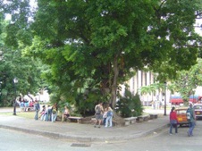 Enlarge photo 4388