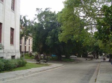 Enlarge photo 4394