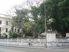 Enlarge photo 4395