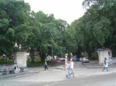 Enlarge photo 4397