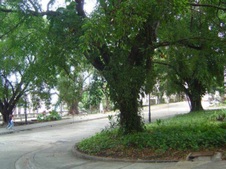 Enlarge photo 4400