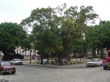 Enlarge photo 4380