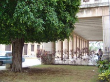 Enlarge photo 4409