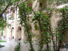 Enlarge photo 4424