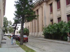 Enlarge photo 4382