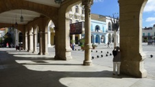 Enlarge photo 223