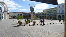 Enlarge photo 232