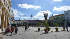Enlarge photo 228