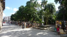 Enlarge photo 85