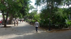Enlarge photo 89