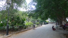 Enlarge photo 91