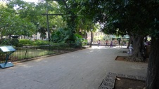 Enlarge photo 88