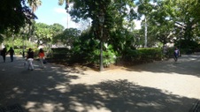 Enlarge photo 96