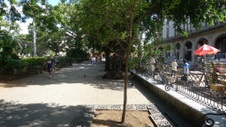 Enlarge photo 92
