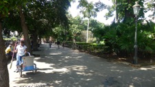 Enlarge photo 97