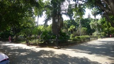 Enlarge photo 102
