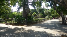 Enlarge photo 103