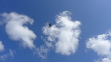 Enlarge photo 106