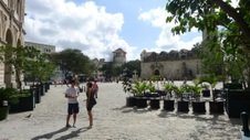 Enlarge photo 238