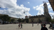 Enlarge photo 239