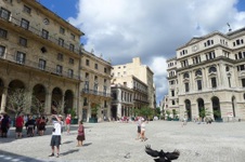 Enlarge photo 251