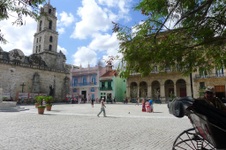 Enlarge photo 257