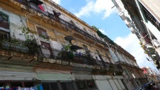 Enlarge photo 3309