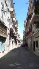 Enlarge photo 3285