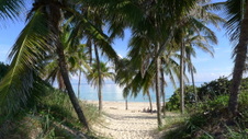 Enlarge photo 3962